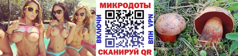 Галлюциногенные грибы GOLDEN TEACHER  Катав-Ивановск 
